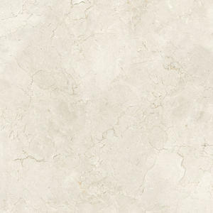 Decorative Floor Tile | Polished Ceramic Floor Tiles - Overland