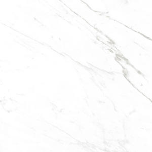 White Polished Porcelain Tile - Overland