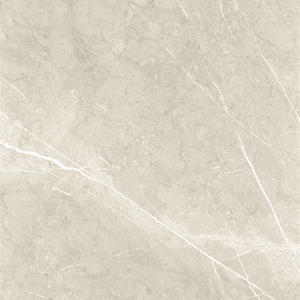 White Polished Porcelain Tile - Overland