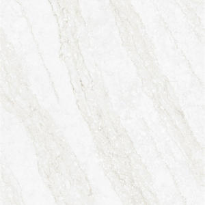 Polished Tiles | Nobel Tile - Overland