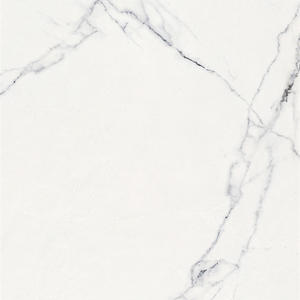 Carrara White -P72